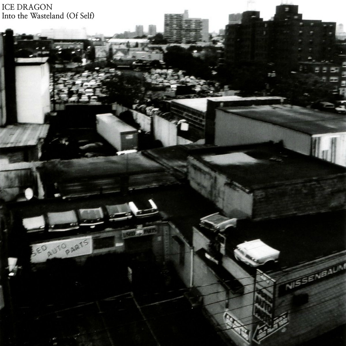 Into the Wasteland (Of Self)