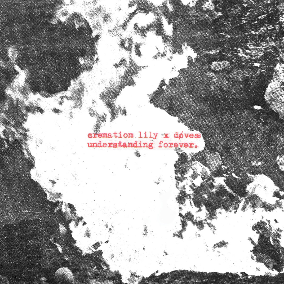 Understanding Forever