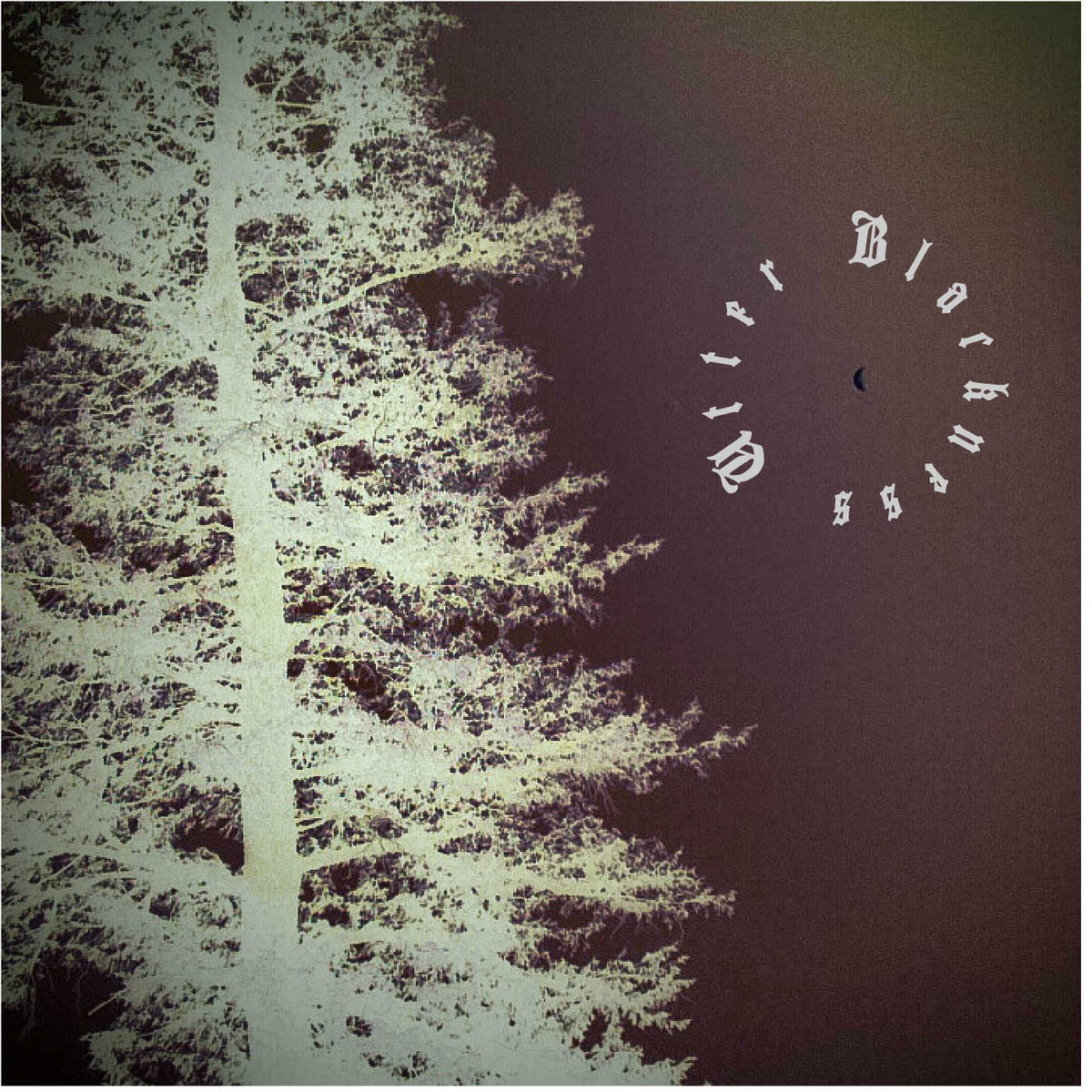 Altered Perception EP