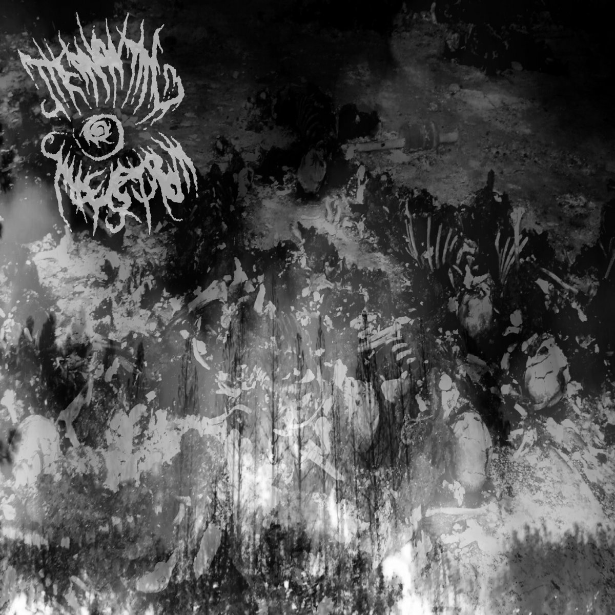 The Searing Firestorms