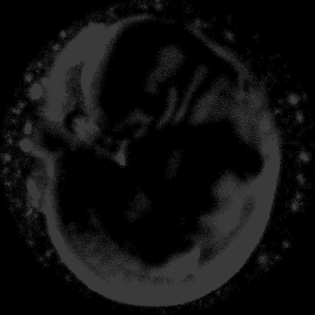 Wanderings in the Worldhusk