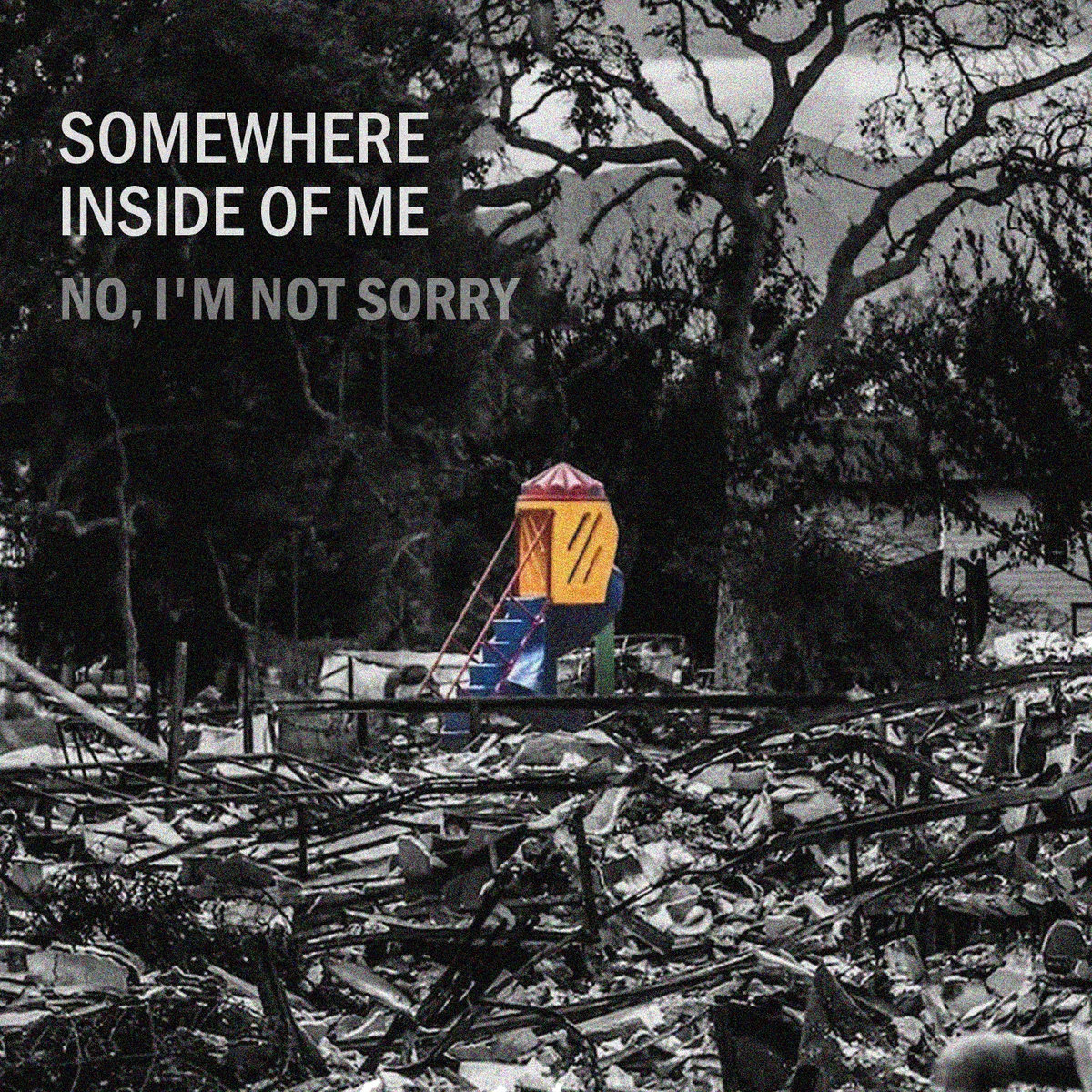 No, I'm Not Sorry (single)