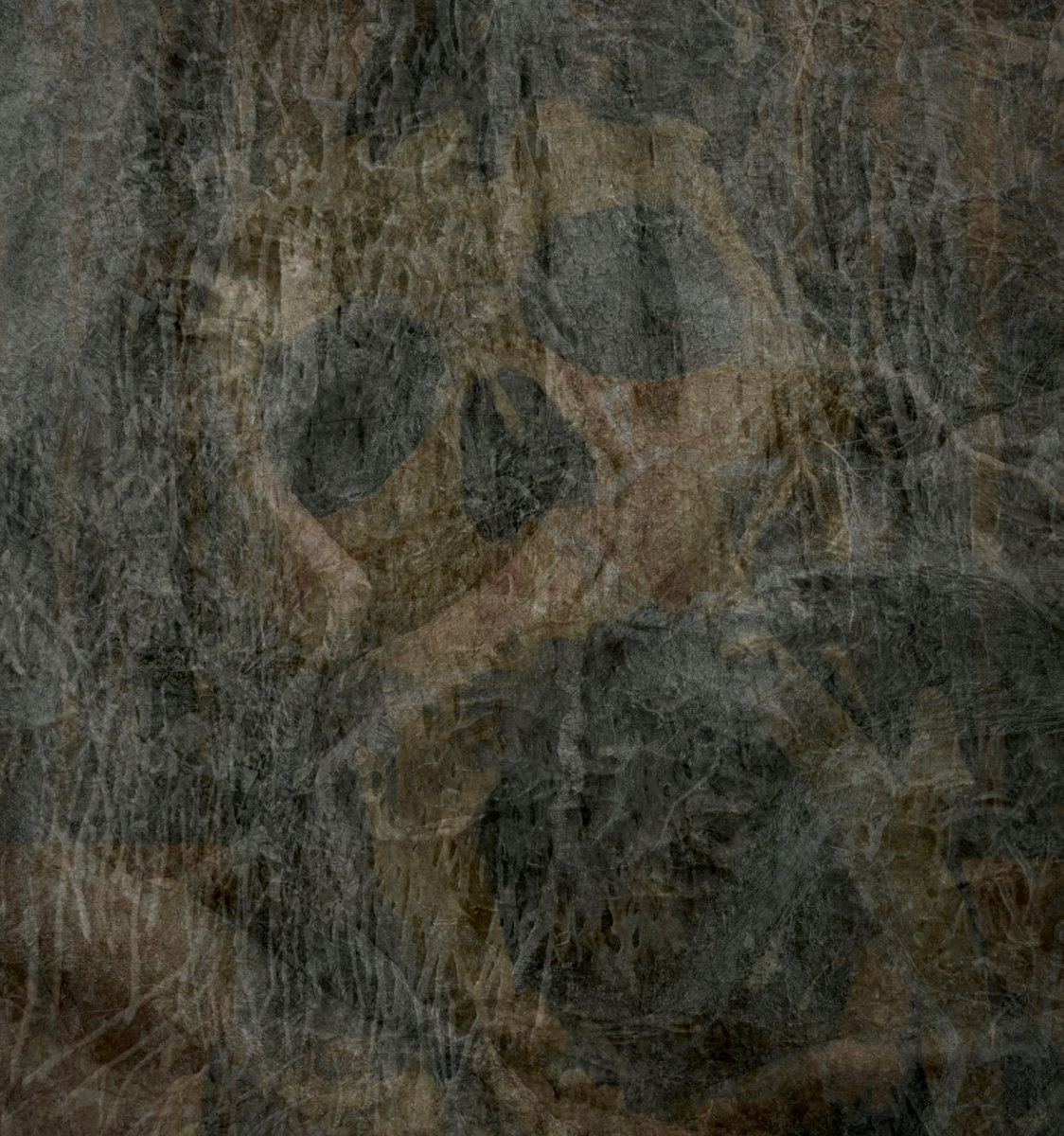 Glimpse of the Bahamut