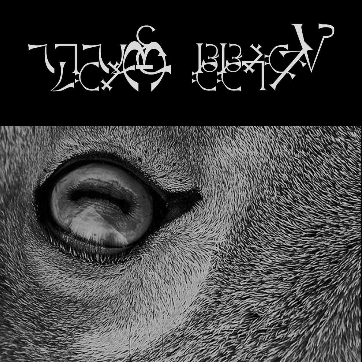 Black Roses, Fell Halo (Demo)