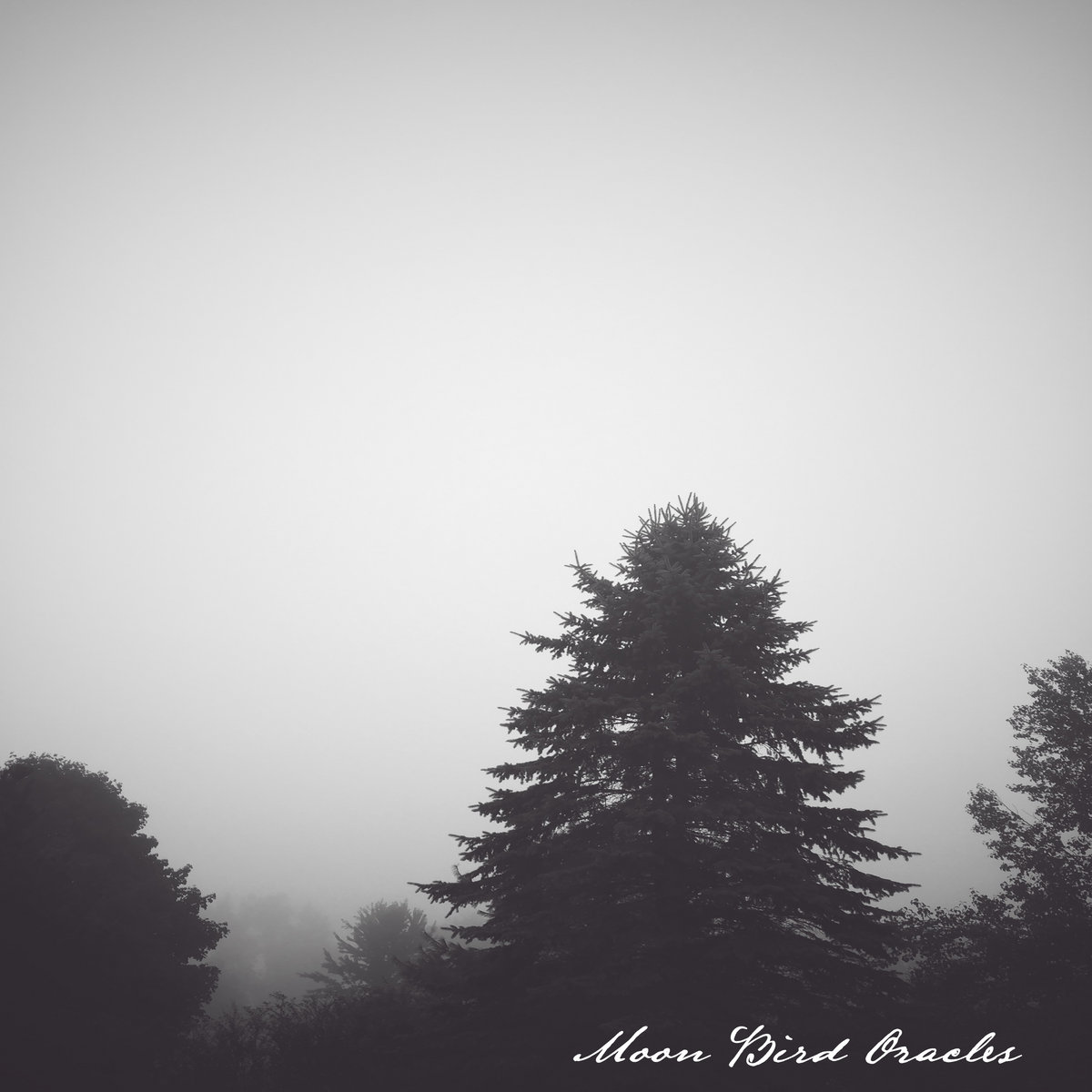 Moon Bird Oracles