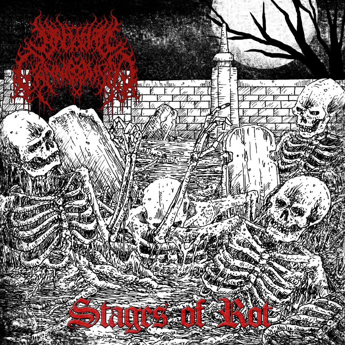 Stages of Rot
