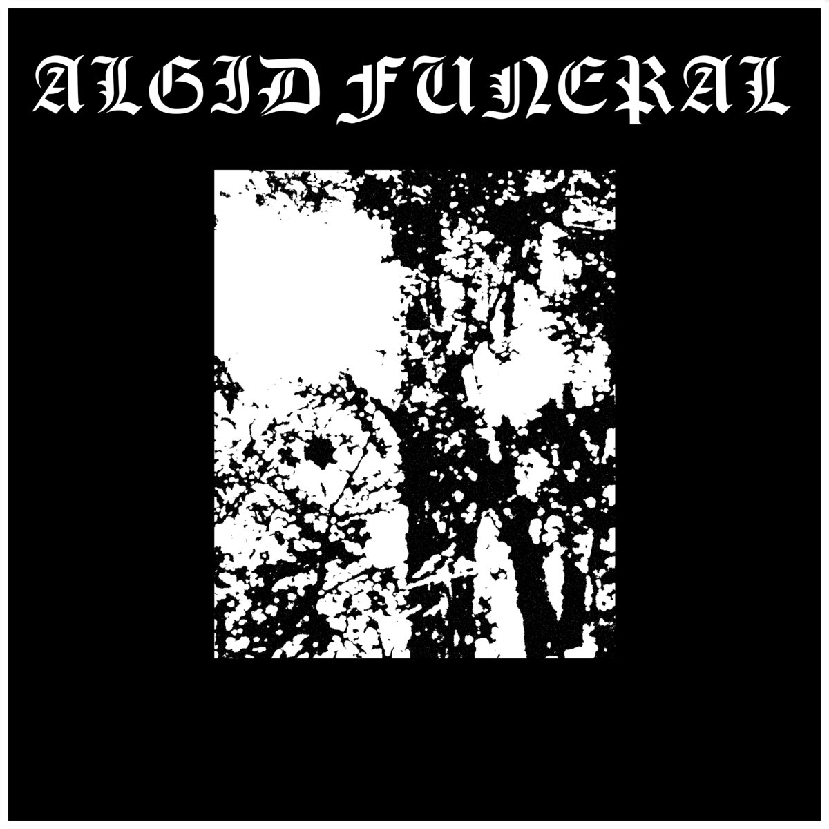 Embitterment (Bass & Guitar Demo)