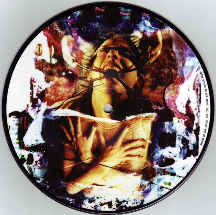 Reptilian Pic Disc 7"