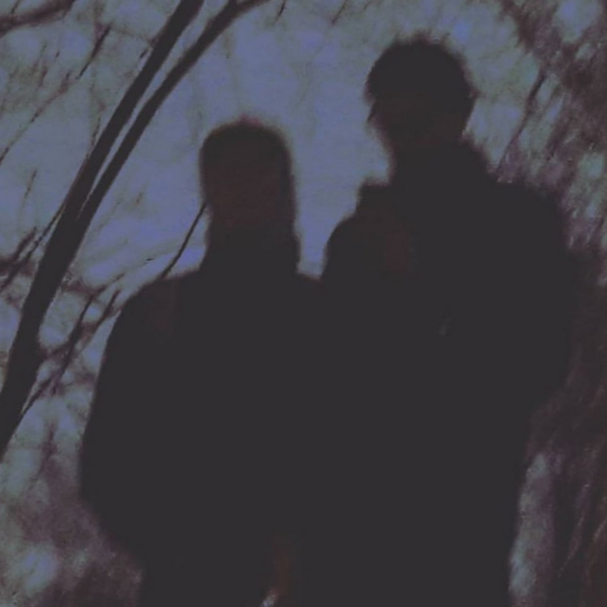 мы твои друзья ( we are you friends )