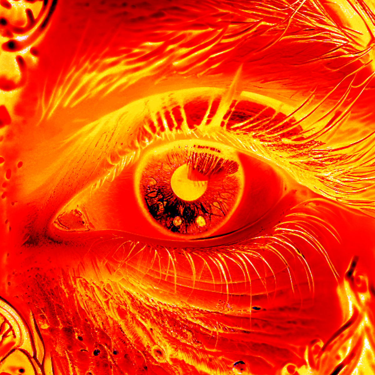 A Look Into The Liars Eyes