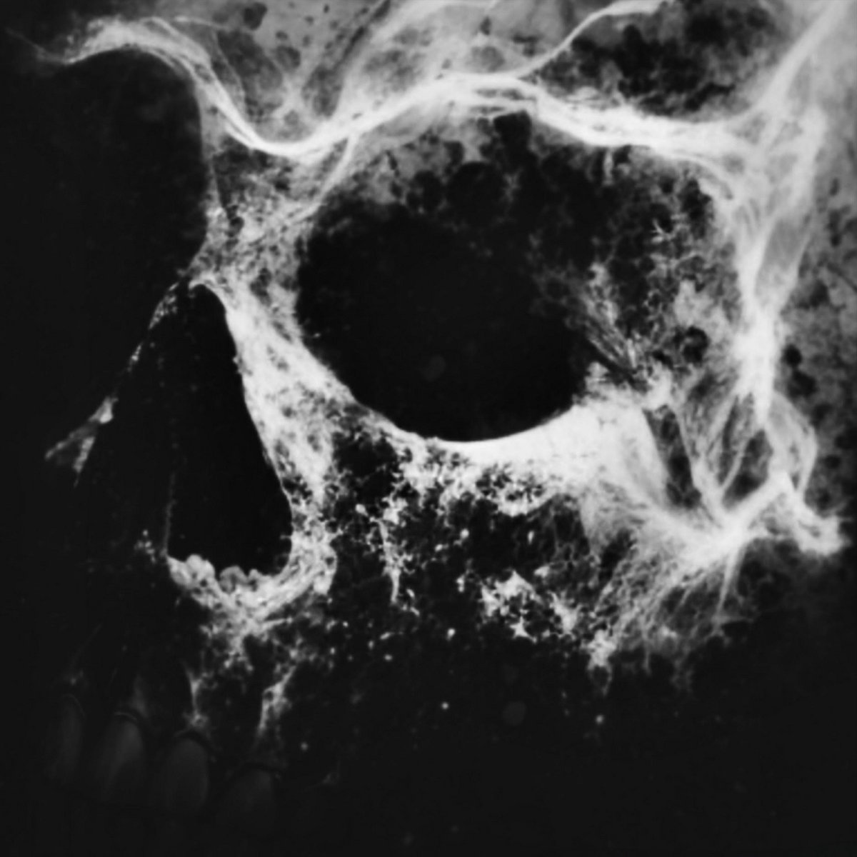 Nocturne of the Mourning Moon