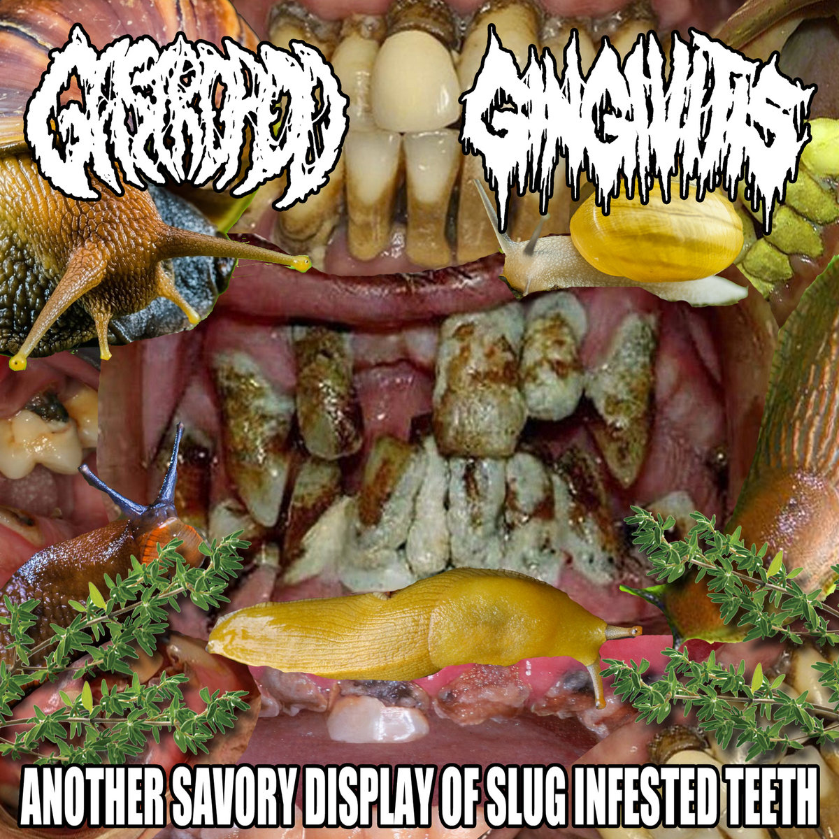 Another Savory Display Of Slug Infested Teeth