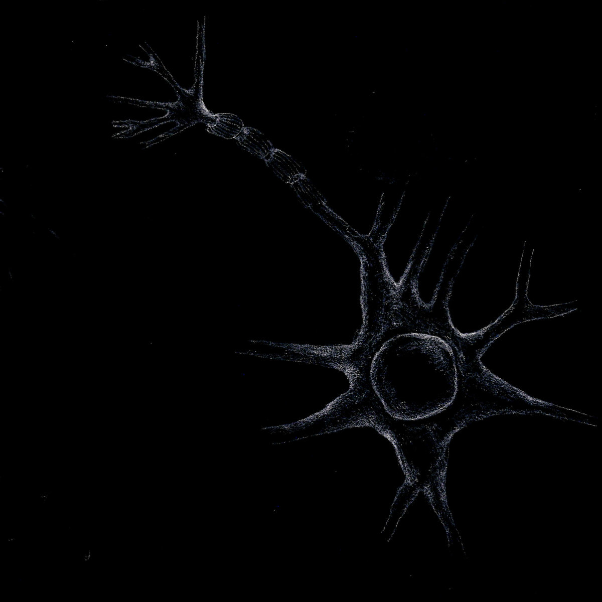 nature of destruction (of nature)