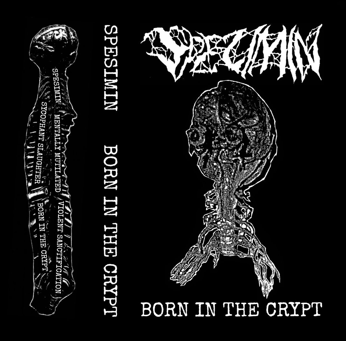 Born in the Crypt