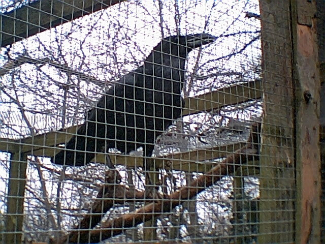 Feedback As A Weapon