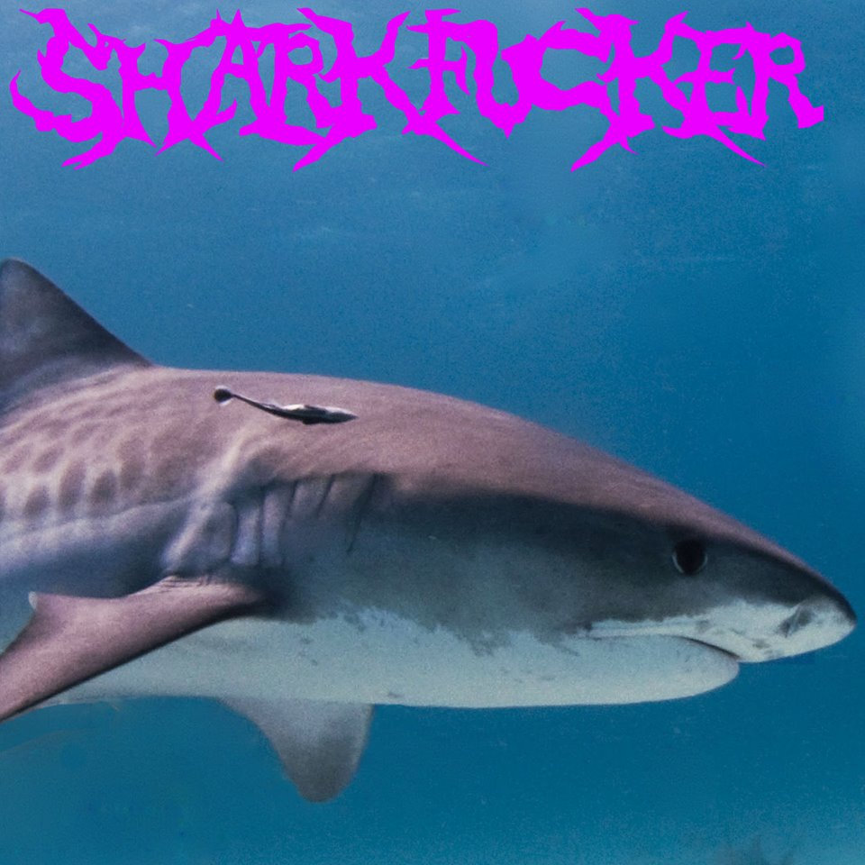 This One Is Just a Riff From Our First Album That We Never Used