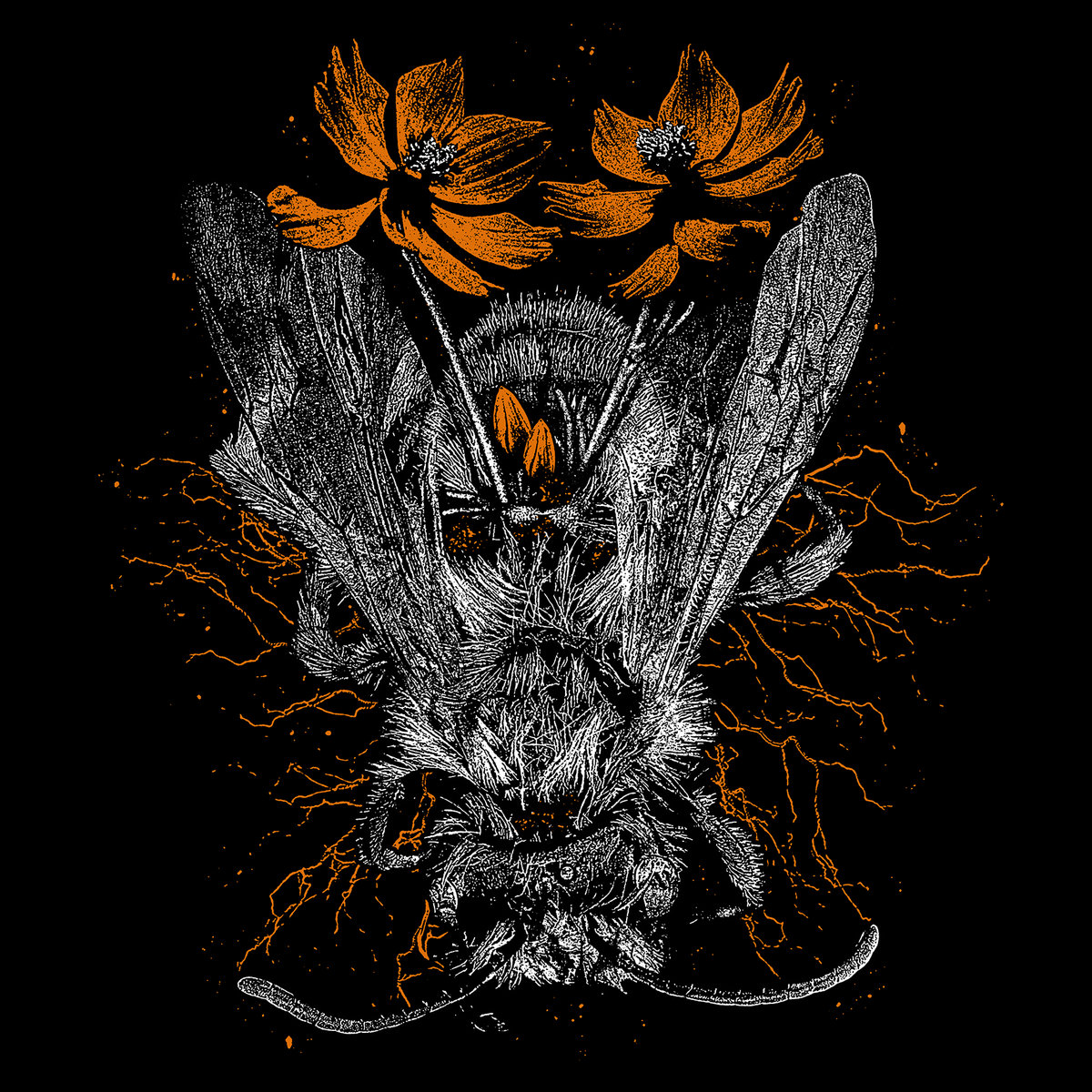 The Worker Bee’s Burden