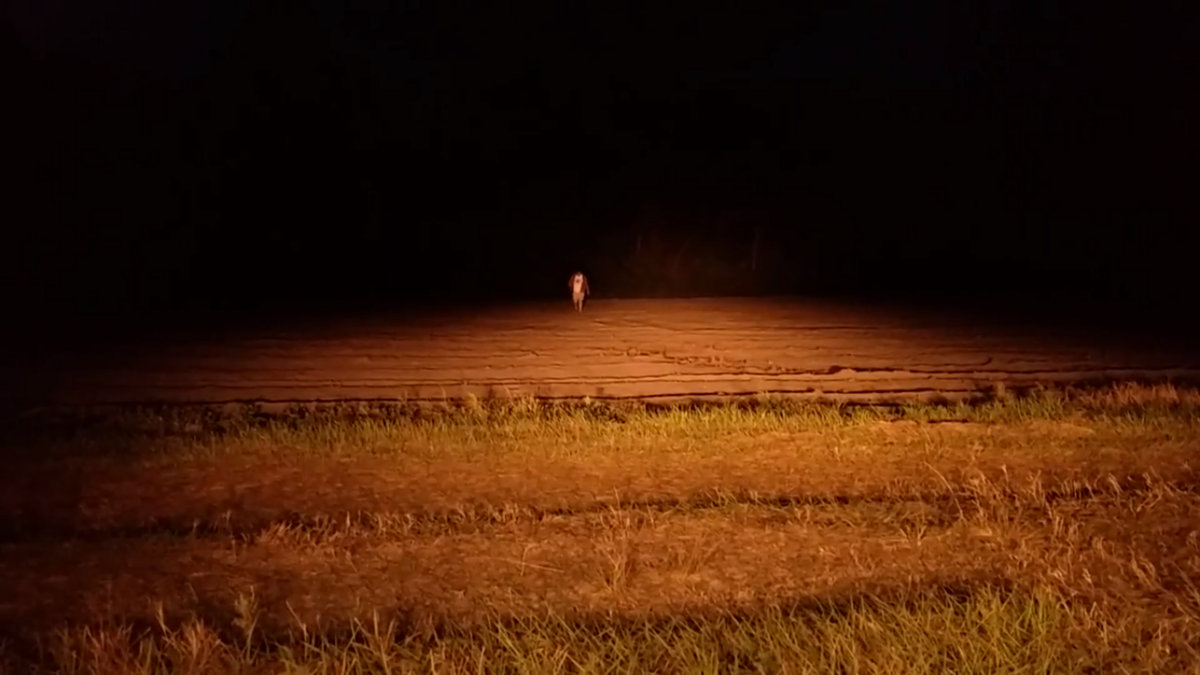 Bubblegum Decadent - Soundtrack