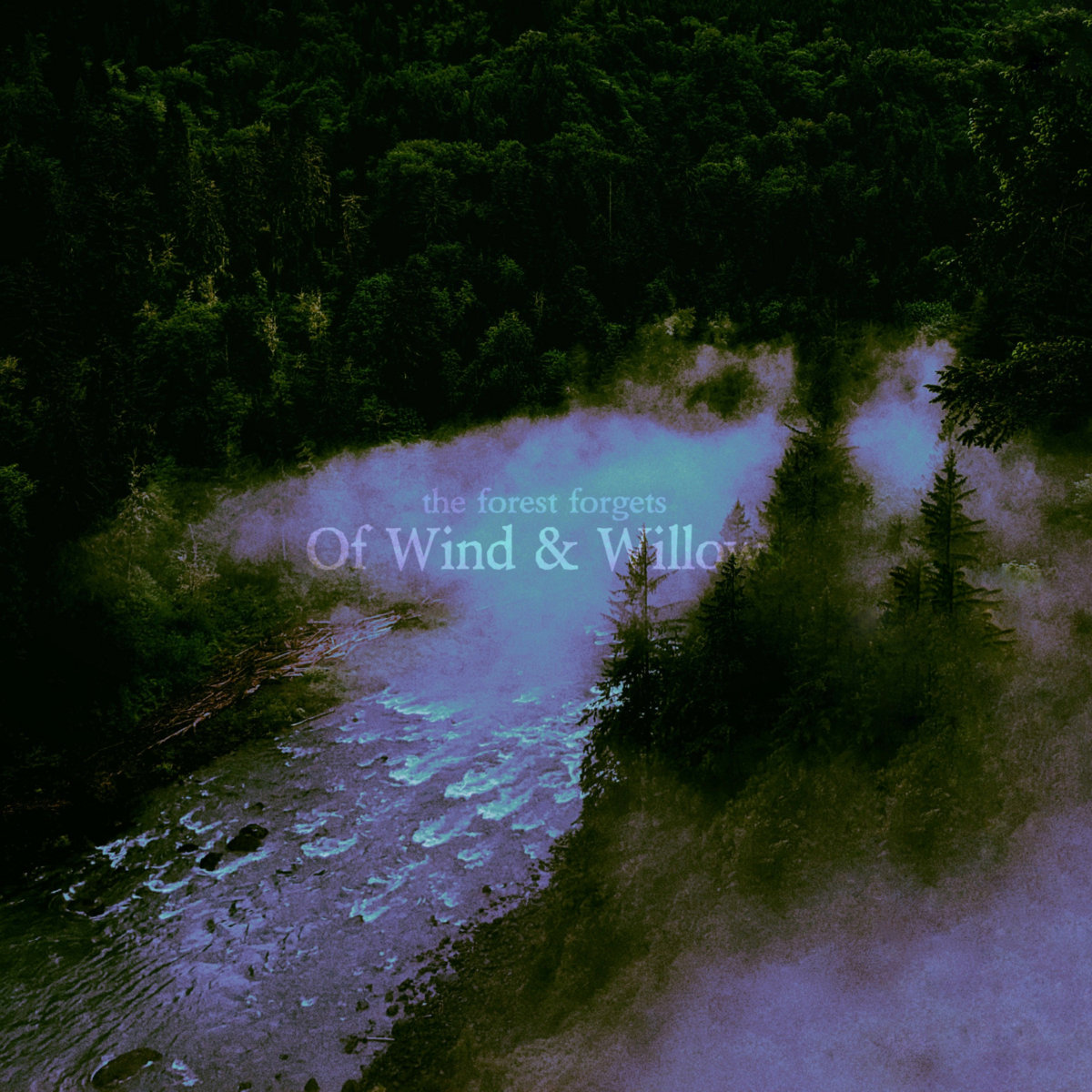 Of Wind & Willows