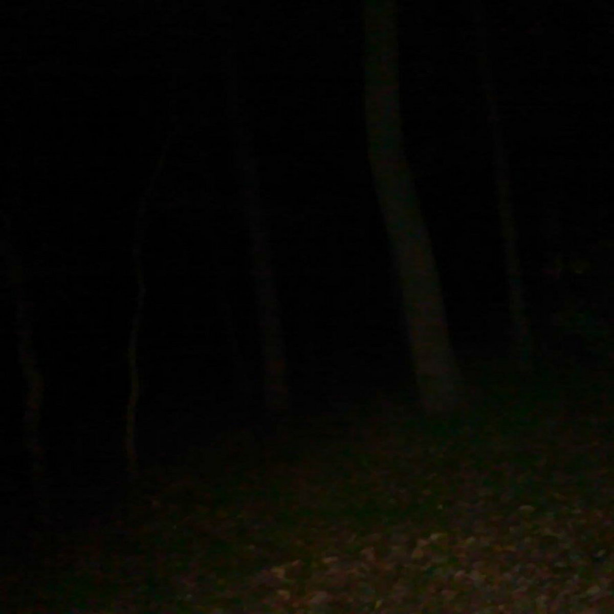 ETHUR @ AMERICAN POST LEGION 95