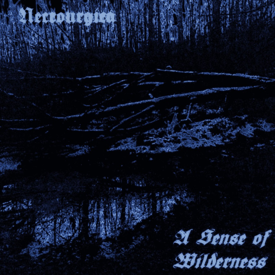 A Sense of Wilderness