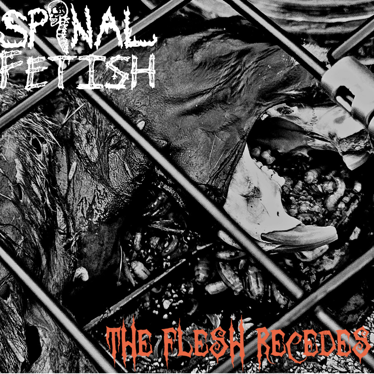The Flesh Recedes