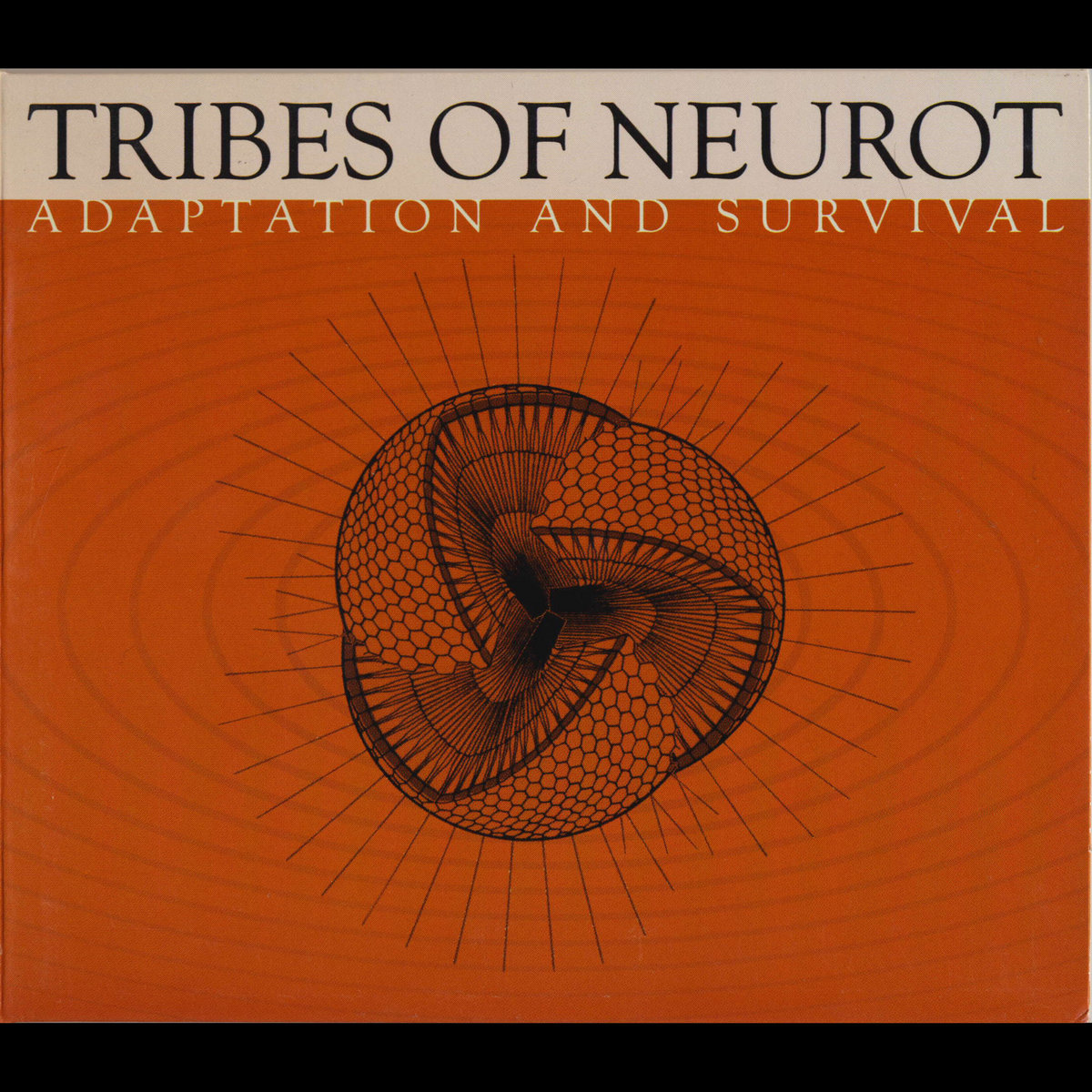 Adaptation And Survival