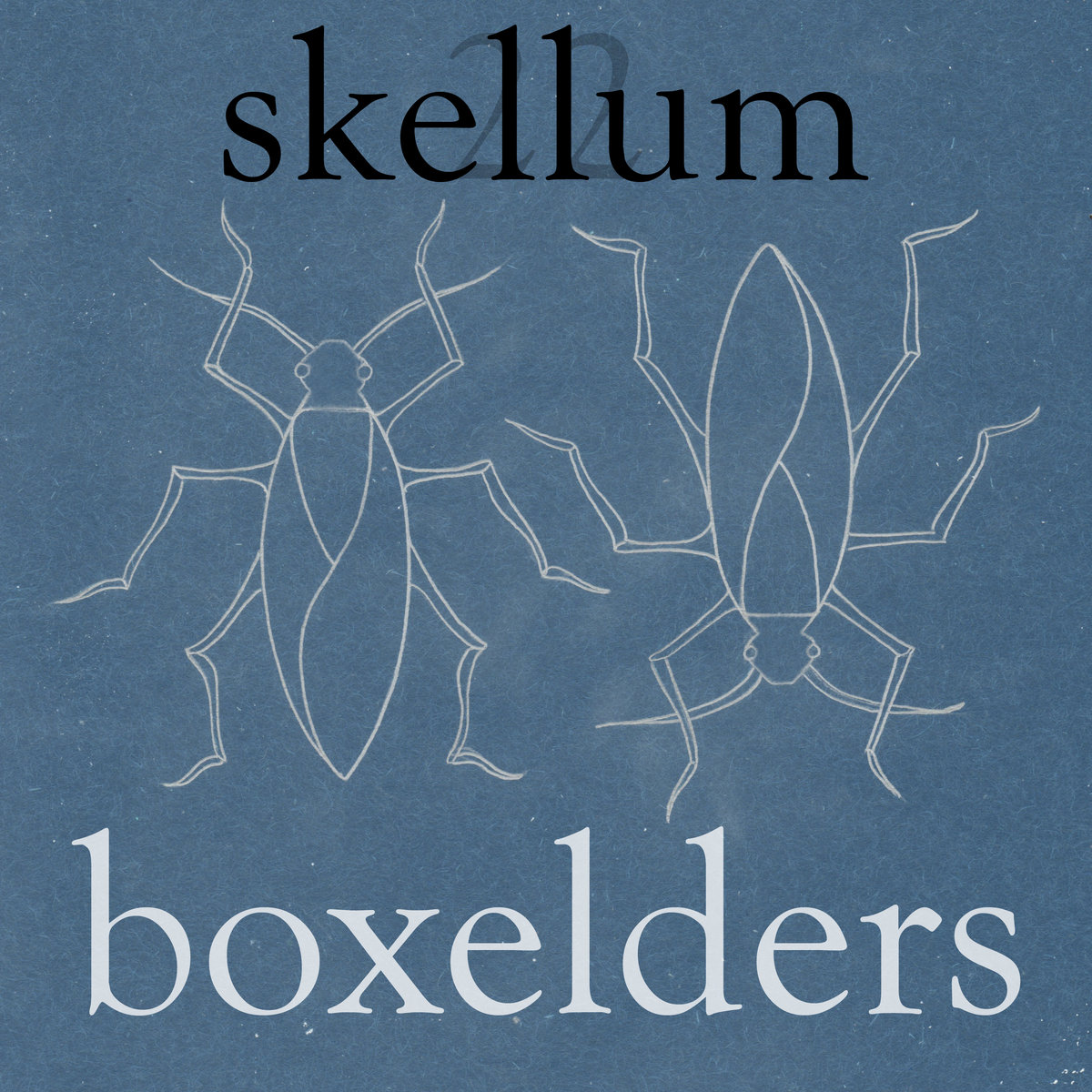boxelders