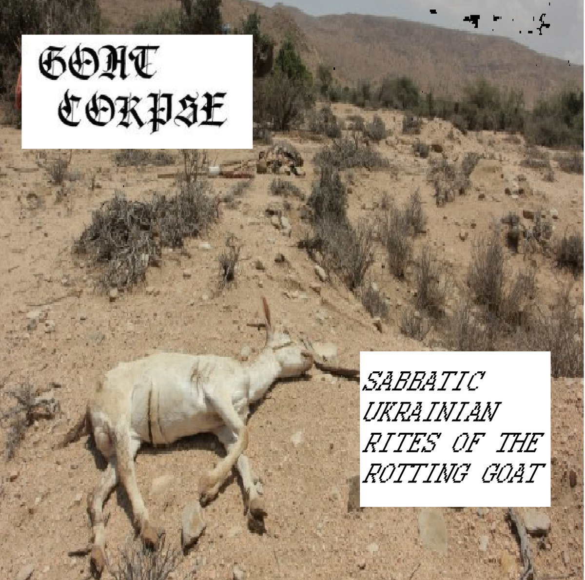 Sabbatic Ukrainian Rites of the Rotting Goat