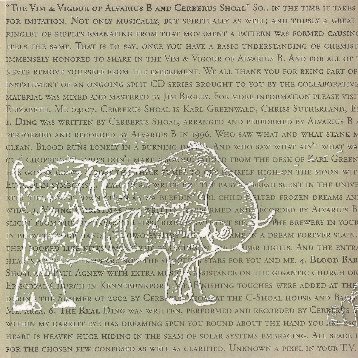 The Vim and Vigour of Cerberus Shoal