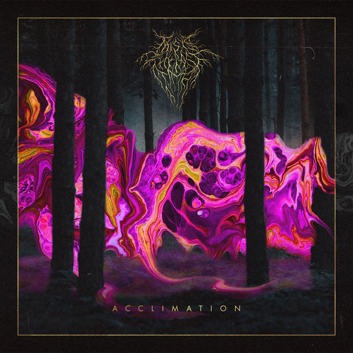 ACCLIMATION