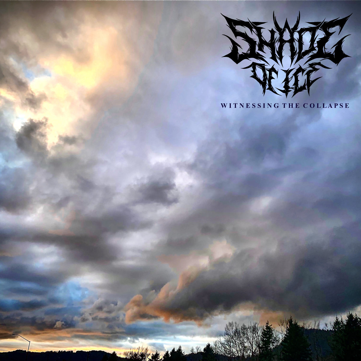 Witnessing The Collapse