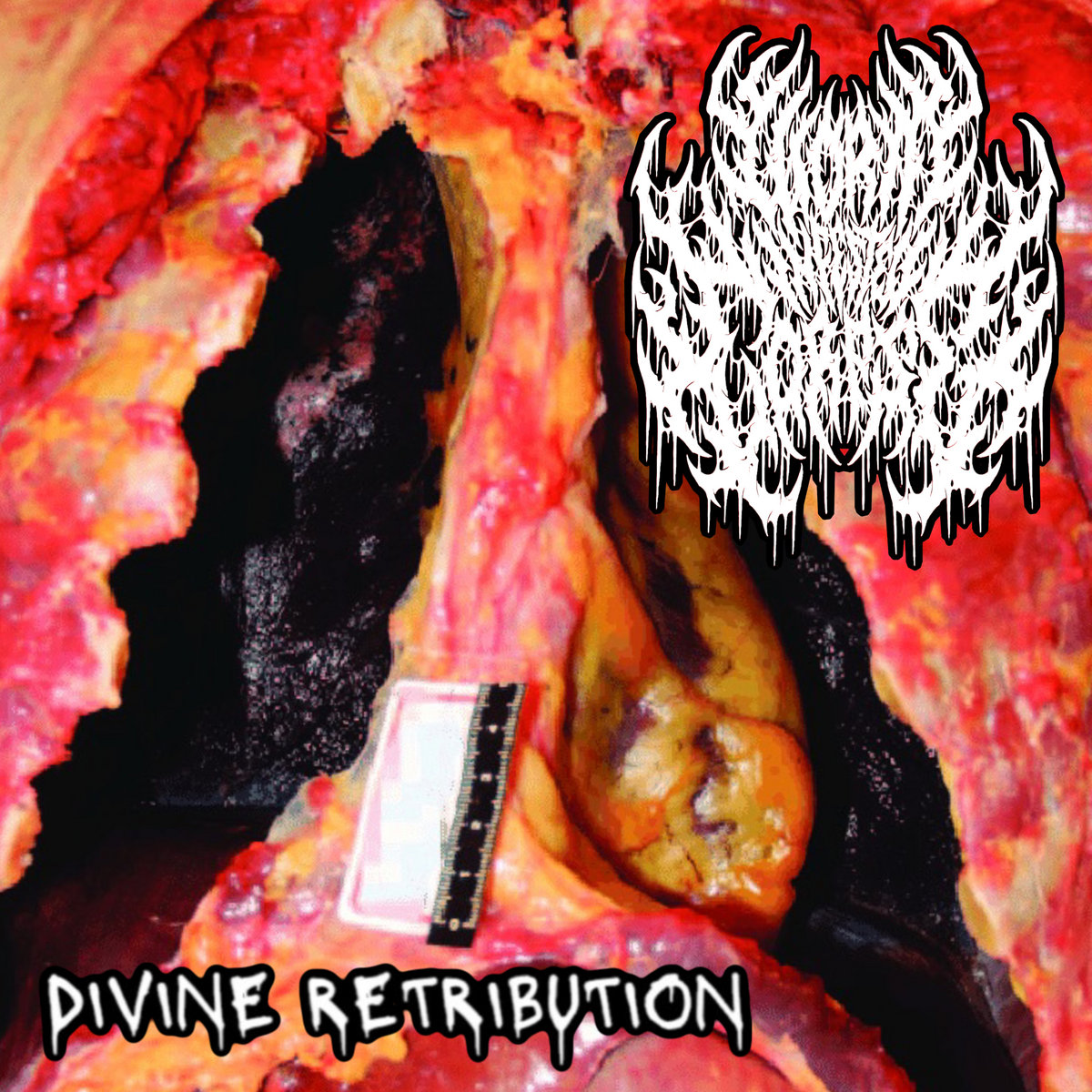 Divine Retribution