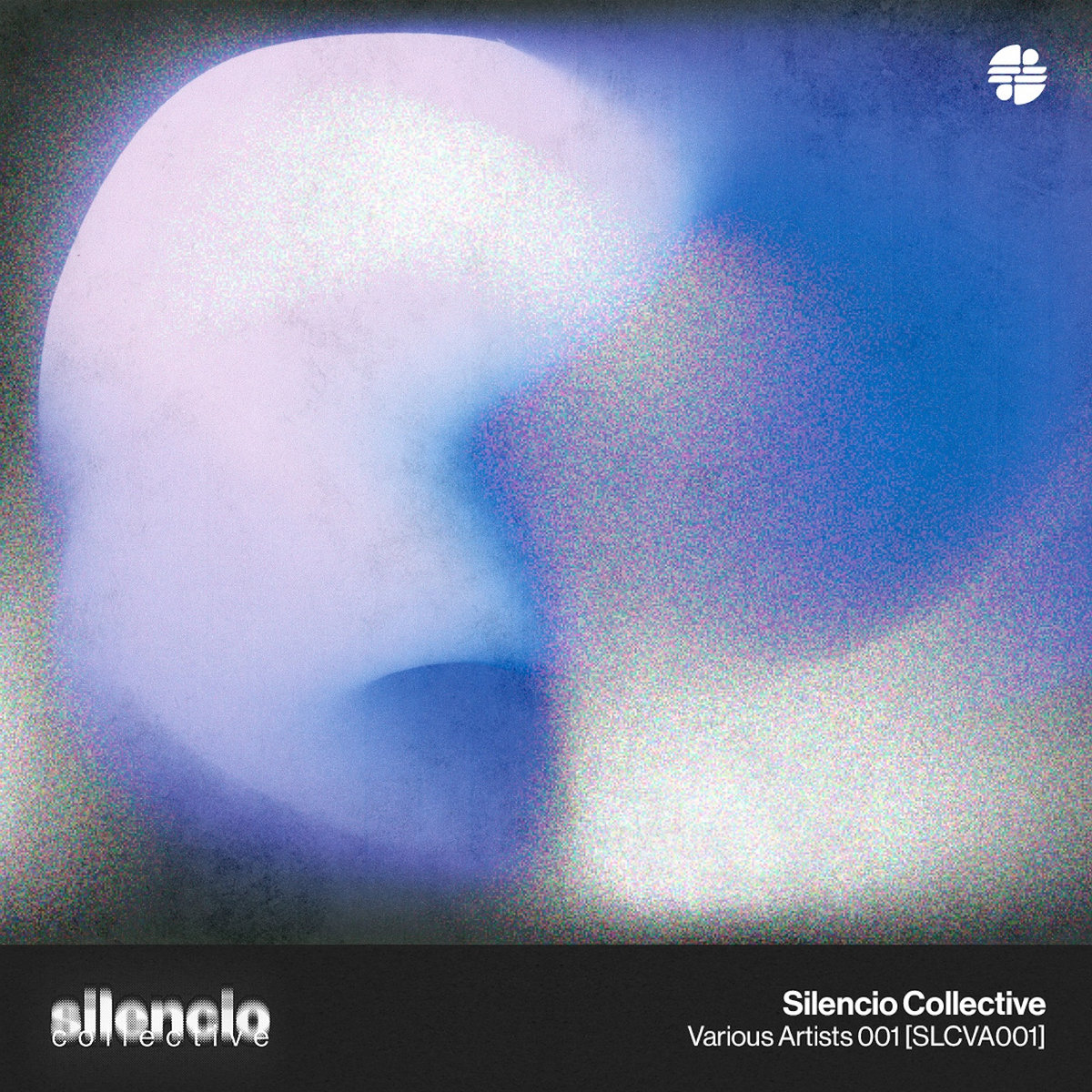 Various Artists 001 [SLCVA001]