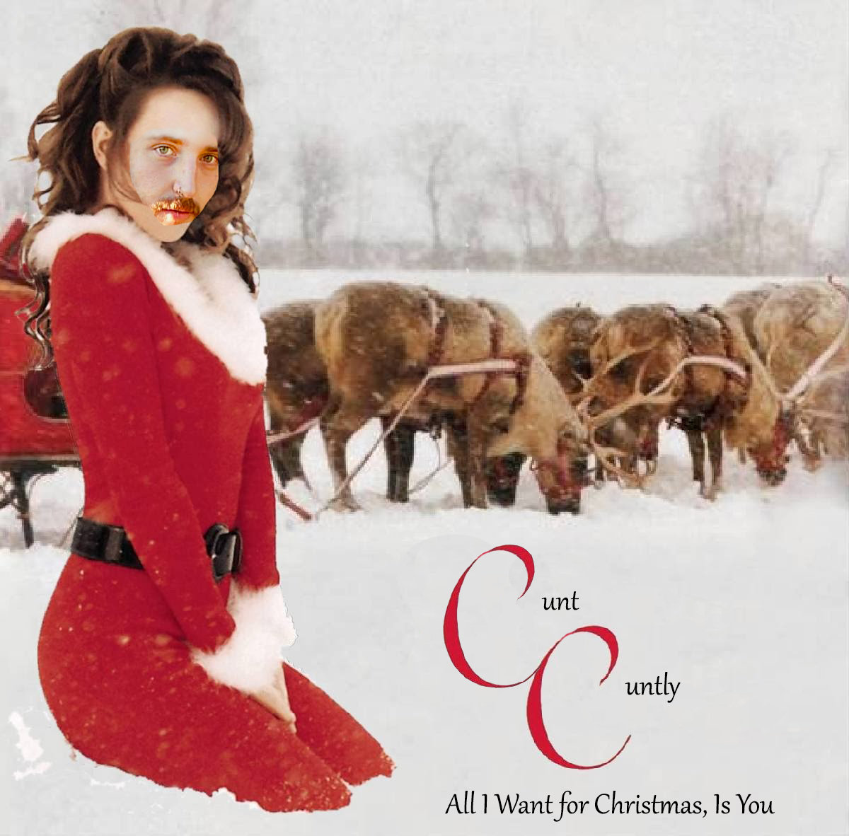 All I Want for Christmas is You [Mariah Carey Cover]