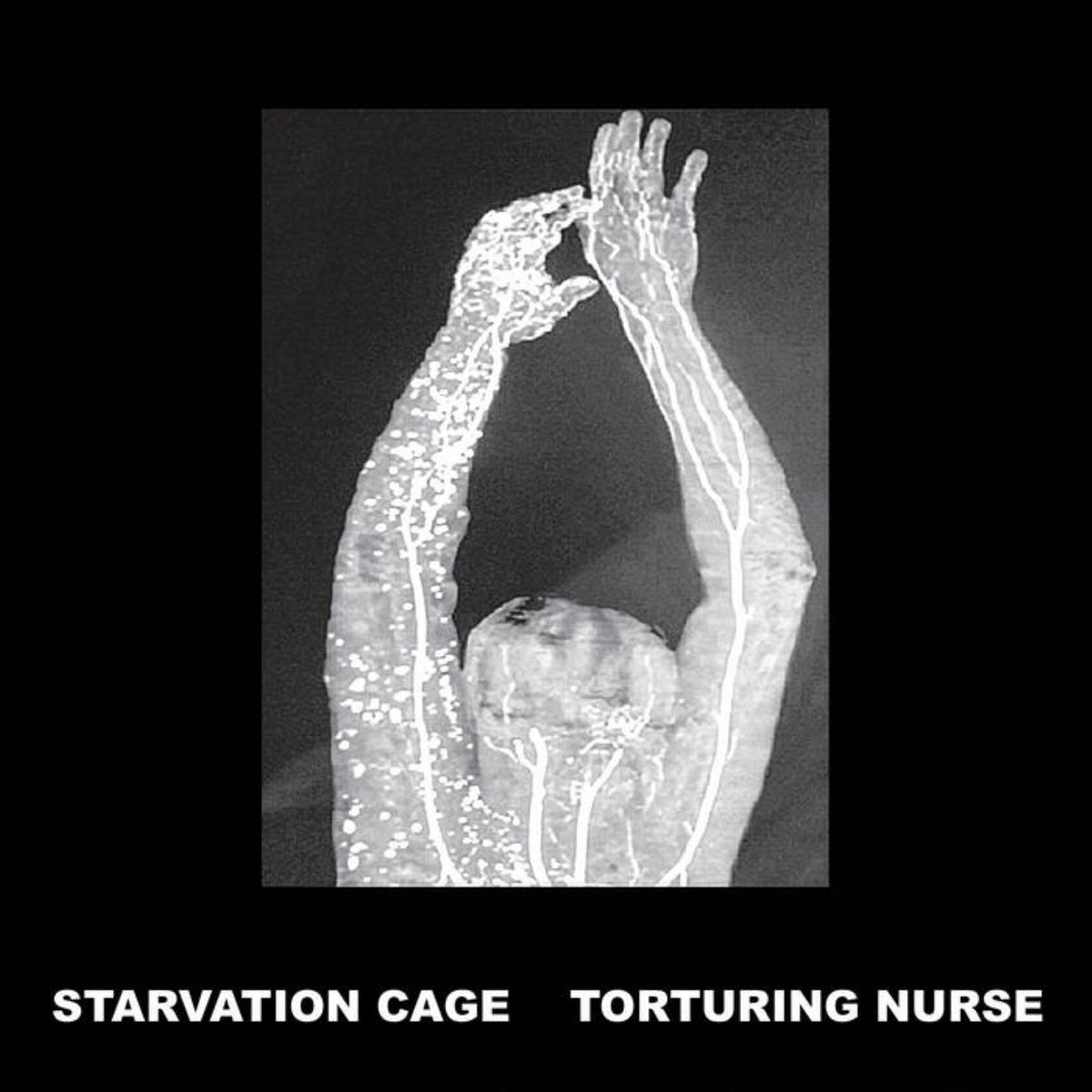 Starvation Cage / Torturing Nurse Split