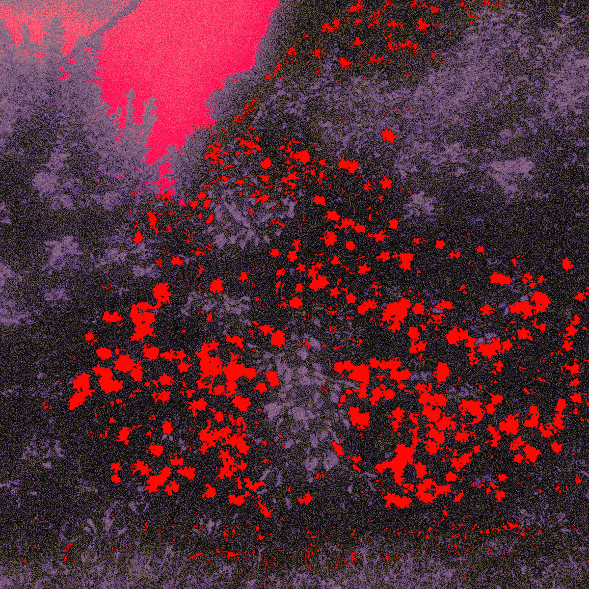 di najb tu natálja ibajnma ëct / lämèàen'th