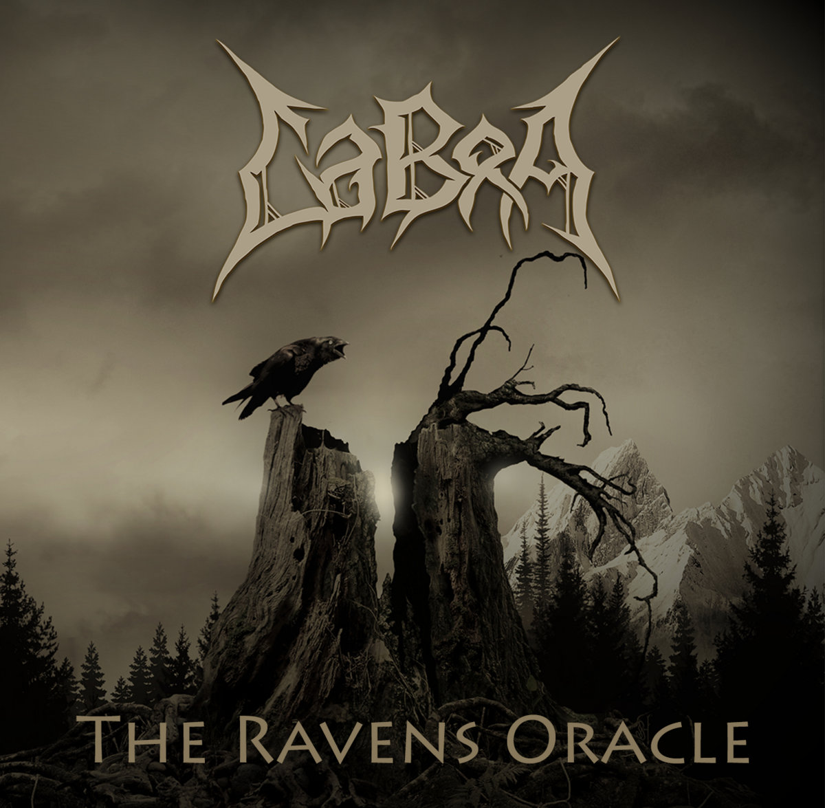 The Ravens Oracle