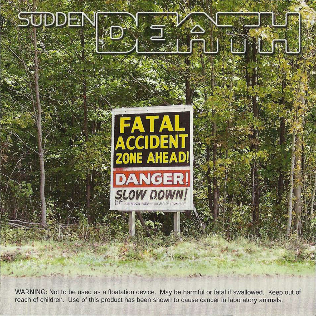 Fatal Accident Zone