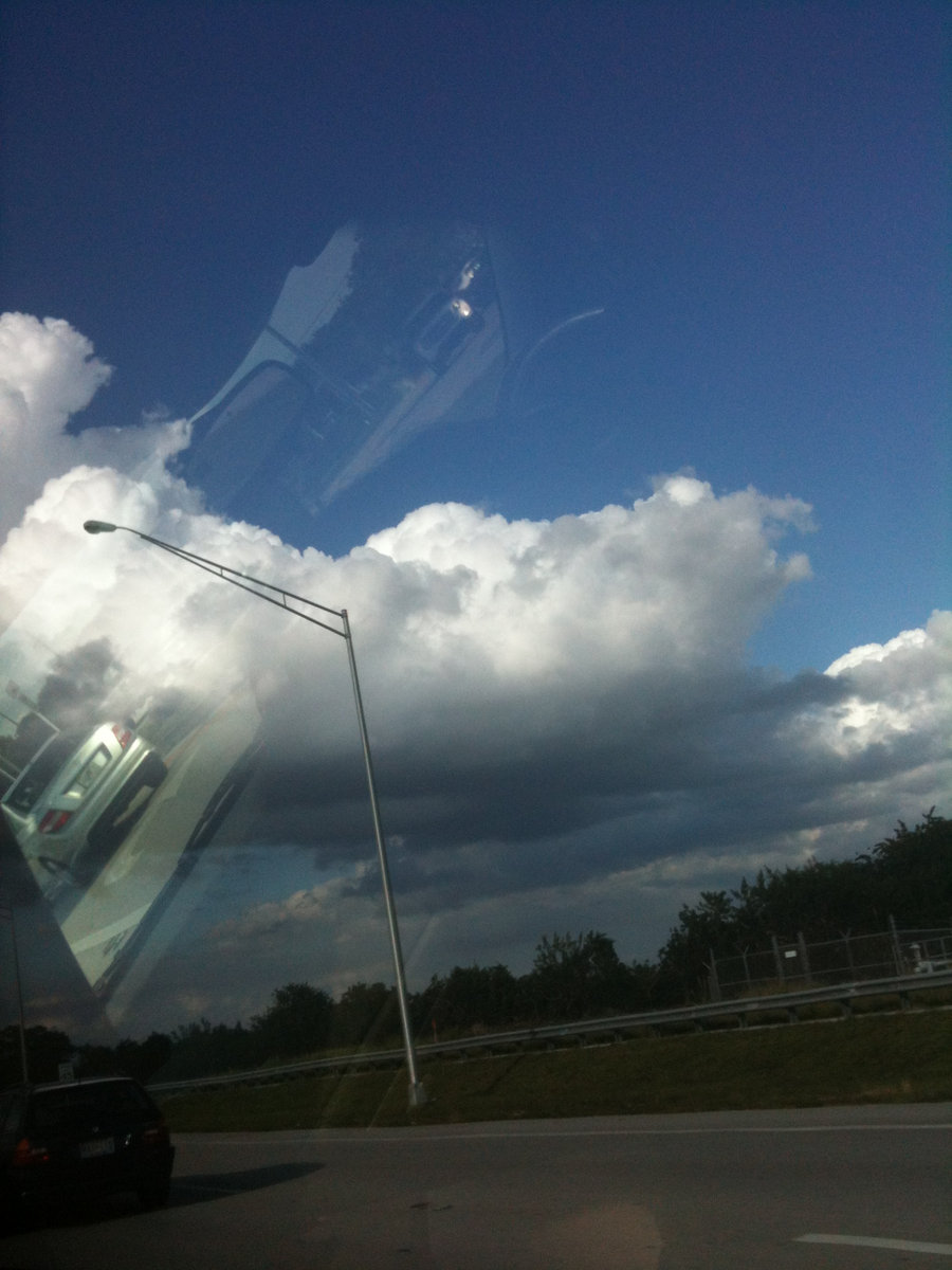 Halloween 2014: Bats and Stuff