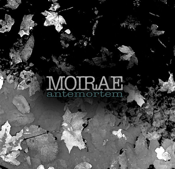 The Vibrant Idea of Happiness