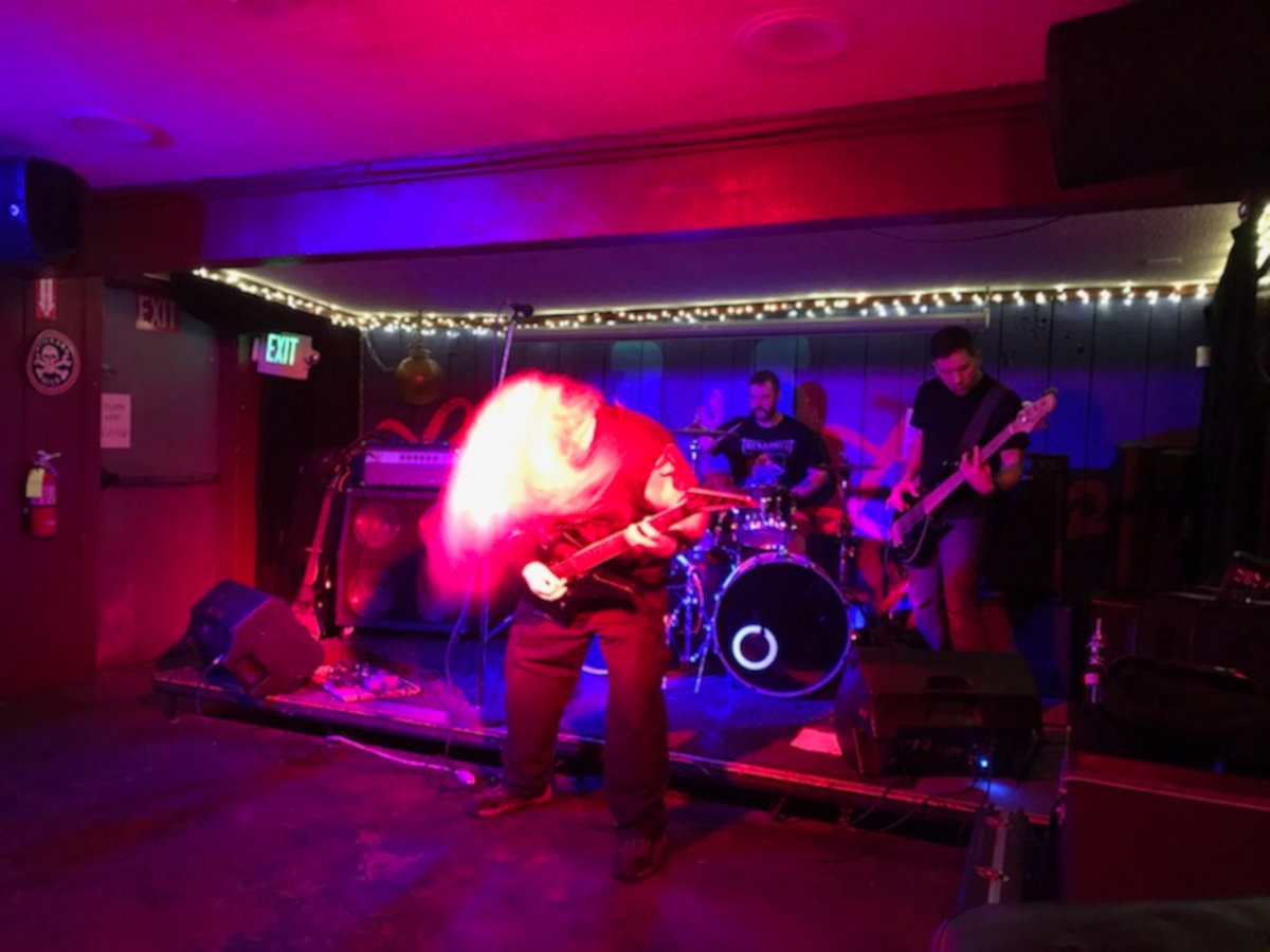 Diplodocus War Stomp