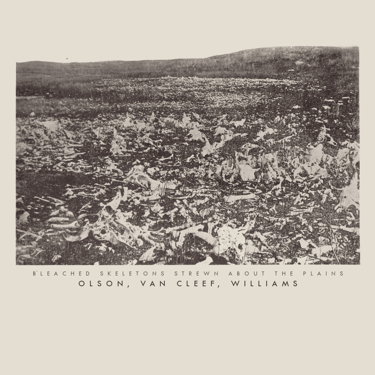 Bleached Skeletons Strewn About The Plains