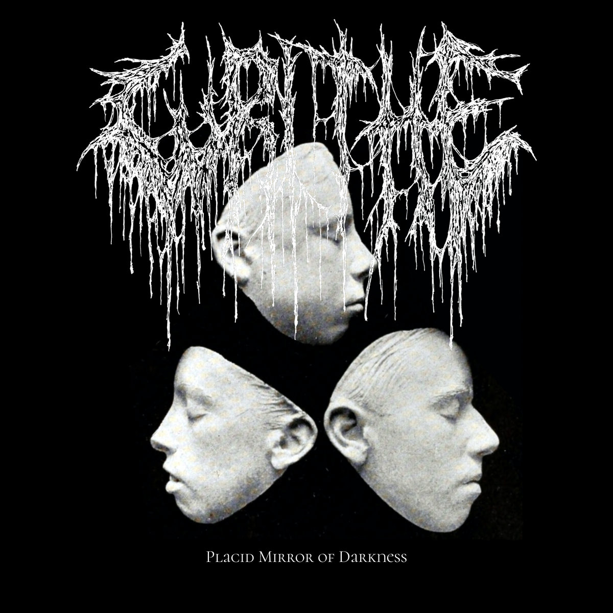 Placid Mirror of Darkness