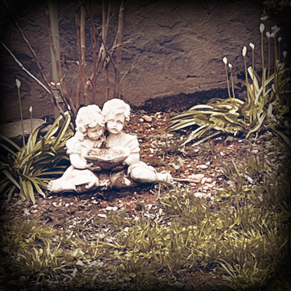 Sleeping with the Fishes