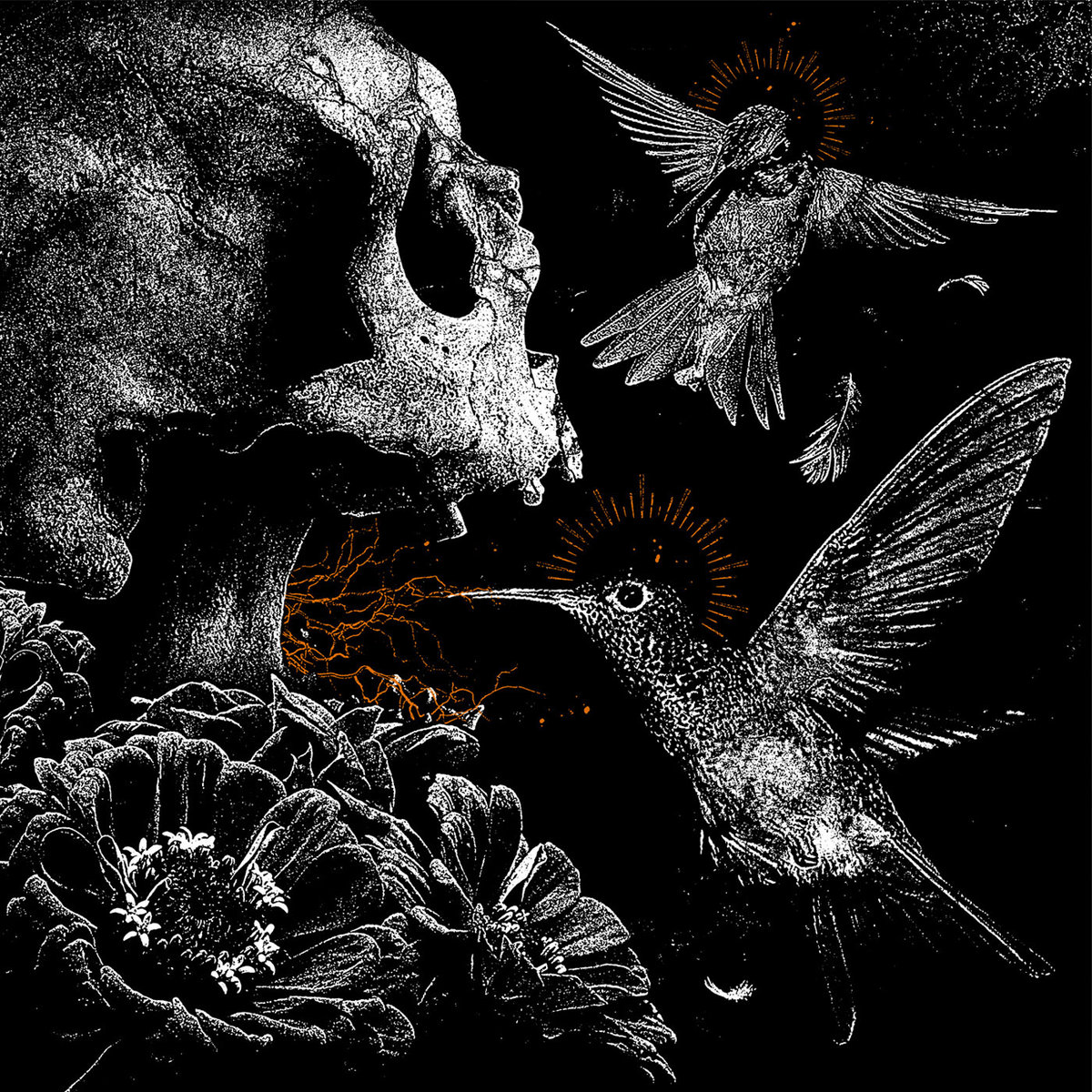 The Saints Take Flight