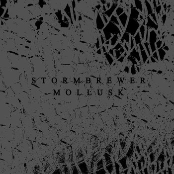 Stormbrewer/Mollusk Split