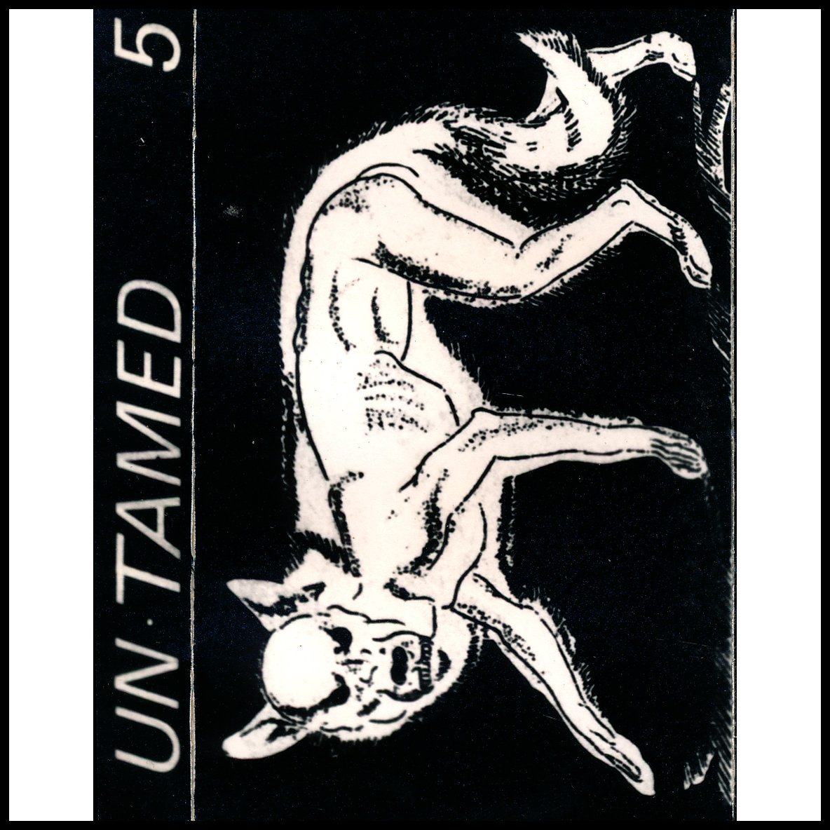 Tape 5 - Untamed