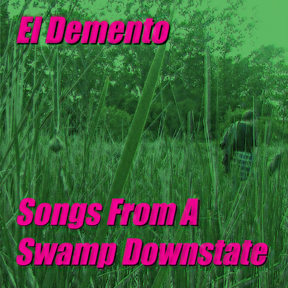 Songs From A Swamp Downstate