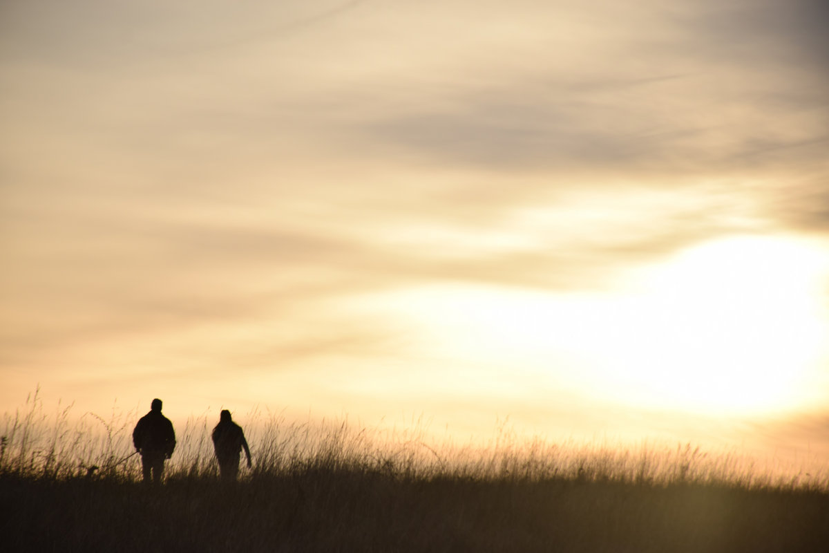 Overlooking The Forgotten